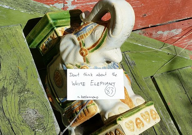 Don't think about the WHITE ELEPHANT