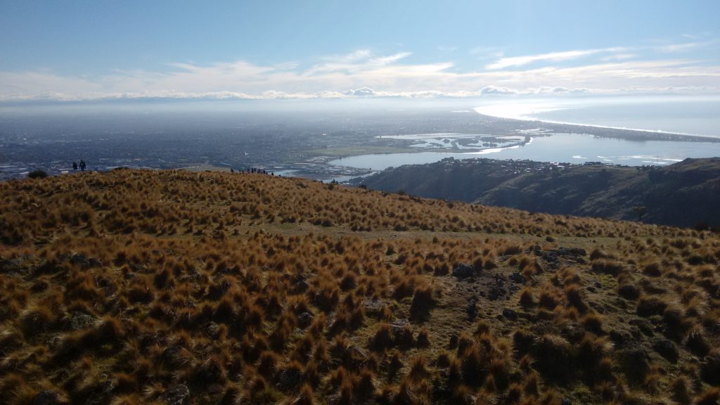 Port Hills, at the top of the gondola